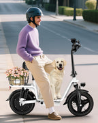 INSDRGN C14 PRO Electric Scooter with Seat for Adults